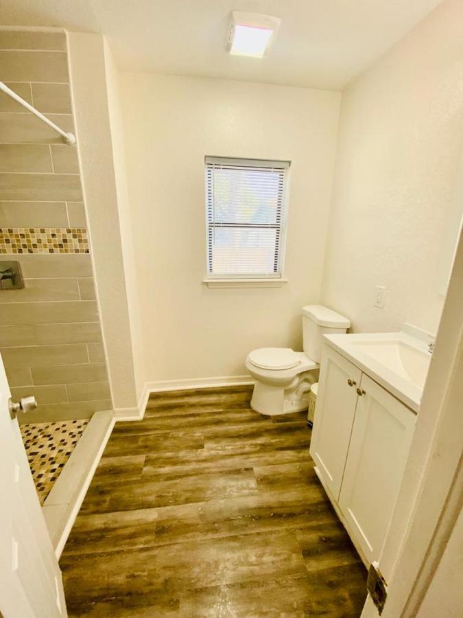 Two Fully Equipped Apartments And A Studio 5 Miles From The Beach セント・ピーターズバーグ エクステリア 写真