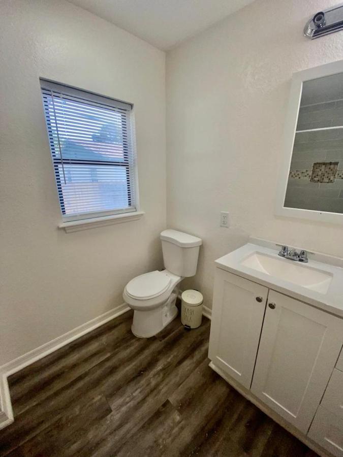 Two Fully Equipped Apartments And A Studio 5 Miles From The Beach セント・ピーターズバーグ エクステリア 写真